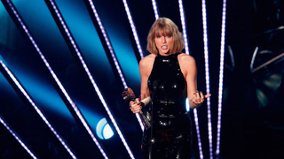 Enough With the Snakes, Taylor, We Get It